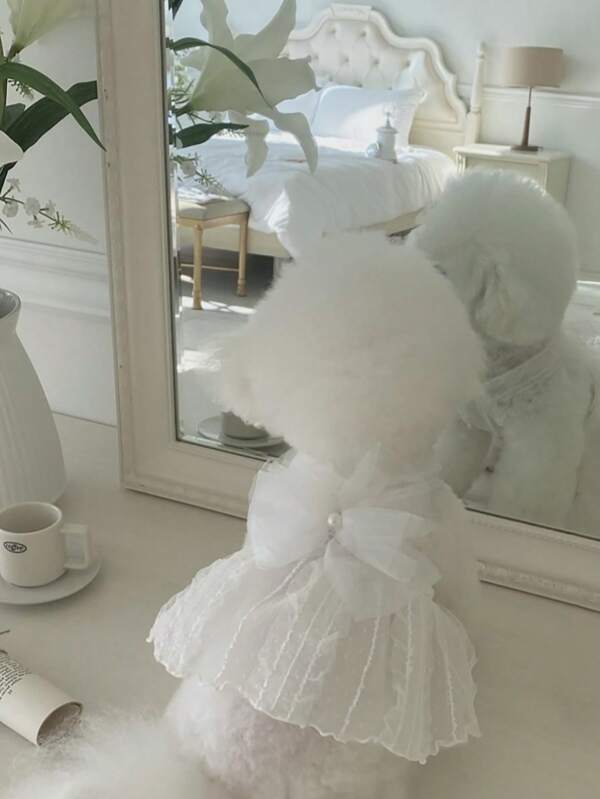 1pc Lovely Fashion Dog Wedding Dress Outfit For Poodle, Bichon Frise, Teddy Bear