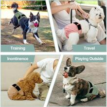 Washable Female Dog Diapers - Premium Reusable Diapers For Doggie In Heat - Highly Absorbent Dog Diapers Female For Pet Incontinence With Adjustable Snaps (Morandi, M) - Black - View 7