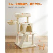 Cat Trees & Condos