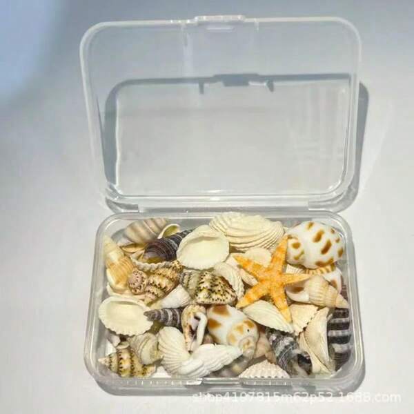 1 Box Assorted Seashell Crafts Set, Fantasy Ocean Style Beading DIY