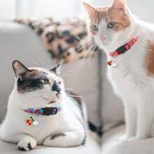 Set de 7 collares de gato con cierre de seguridad, campanillas y colgantes con diseño de frutas. Collares ajustables ideales para gatas hembras y gatos machos, accesorios y regalos para mascotas. - Multicolor - Ver 6