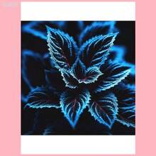 SADAZIN 20 Coleus Seeds Rare Color Blue Black Green Flower Plant Lawn - 1 - 查看 2