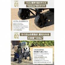 Garden Carts