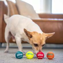 Outward Hound Squeaker Ballz Fetch Dog Toy, Medium - 4 Pack - 超小號(4 件裝) - 查看 5