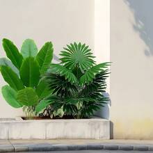 2pcs Set Of Large Artificial Palm Trees, Realistic Tropical Green Plants, Indoor And Outdoor Decoration, Such As Home, Hotel, Garden, Wedding And Vacation Scenes, No Container, Architectural Style Green Leaves | Decorative Plants