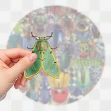 50 张昆虫贴纸，可爱卡通防水 PET 透明材质贴纸，可用于滑板、水瓶、笔记本电脑、手机、学校用品、返校等 DIY 用途 - 彩色 - 查看 5