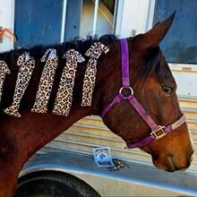 Set de 8 cobertores para la crin del caballo, funda protectora resistente al viento para proteger efectivamente la crin del caballo contra el viento, la abrasión y la suciedad - Multicolor - Ver 7