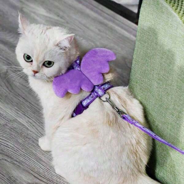 1pc Chest Harness, New Fashion Pet Chest Harness With Wings