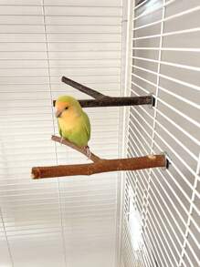 1 pieza Perchan de horquilla de madera de fruta natural, juguete rascador de doble horquilla de rama de árbol para loros, suministros inteligentes para pájaros, accesorio de jaula de pájaros, juguete para loros (Los árboles frutales crecen de forma natural, las formas varían; los tamaños y pesos pueden variar ligeramente)