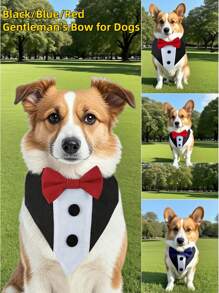Hochzeitsanzug Sabberhandtuch Hundehalsbänder Fliege Hochzeitsanzug Dreiecktuch Haustier Dreiecktuch