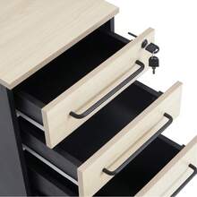 Luggage Sets - Natural1 - Ver 4