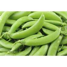 NC Heirloom Seeds Heirloom Bean Seeds 1 Sugar Bean Seeds 1 Non-GMO 1 Vegetable Gardening Organic Food 1 Open Pollinated - 變體1 - 查看 1