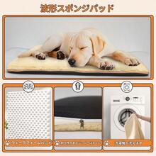 Pet Furniture Tools