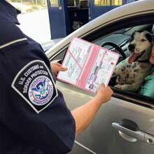 Car Registration And Insurance Card Holder, Vehicle License Document Glove Box Compartment Organizer, Interior Car Accessories For Women Men Teens,Waterproof Car Document Holder For Cards, Driver License - 彩色 - 查看 6