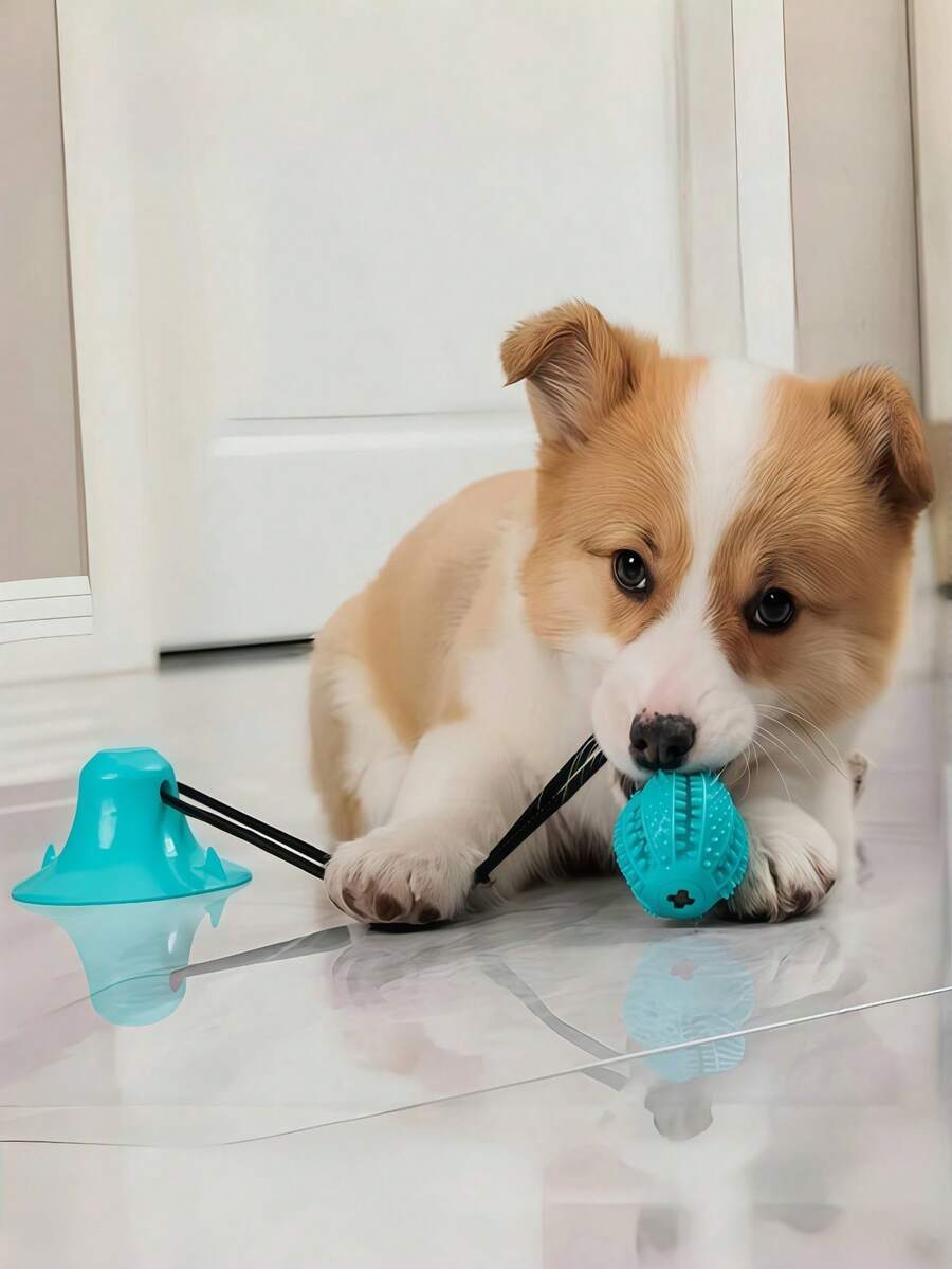 1 件狗牙刷咀嚼球玩具，带吸盘的狗牙齿清洁玩具，适用于中小型犬刷牙和口腔护理
