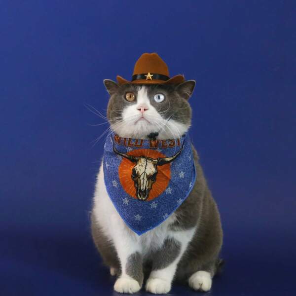 Pet Accessories Set: Vintage Western Style Cowboy Hat, American Star Print Bandana Scarf, And Bib For Cats & Dogs