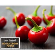 Peppers, Red Spicy Cherries 125 Easy-To-Grow Heirlooms Non-GMO Peppers