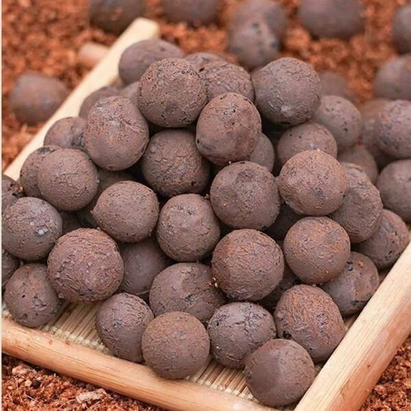 1 Galón de perlas cerámicas medianas, transpirables y absorbentes de agua, arcilla cocida y carbón, paisajismo de jardín, camas de macetas, adecuadas para el cultivo doméstico