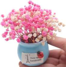50Pcs Mini Dried Baby's Breath Flowers For Resin Art Craft DIY, 3000+ Natural Ivory White Bulk Flowers, Pressed Gypsophila Bouquet Present For Valentine's Day, Wedding Wreath, Card Making, Home Decor - Nhiều màu - Xem 6