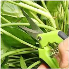 2 pezzi Forbici Potafrutti in acciaio inossidabile, cesoie per rami di fiori, attrezzo manuale per potature, per giardinaggio e cura del prato, articoli per il giardino