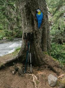 تمثال طائر البغبغاء الراتينجي القديم - تمثال بغبغاء راتينجي جذاب معلق للديكور في الحديقة والشرفة والشرفة ، مثالي لعيد الفصح