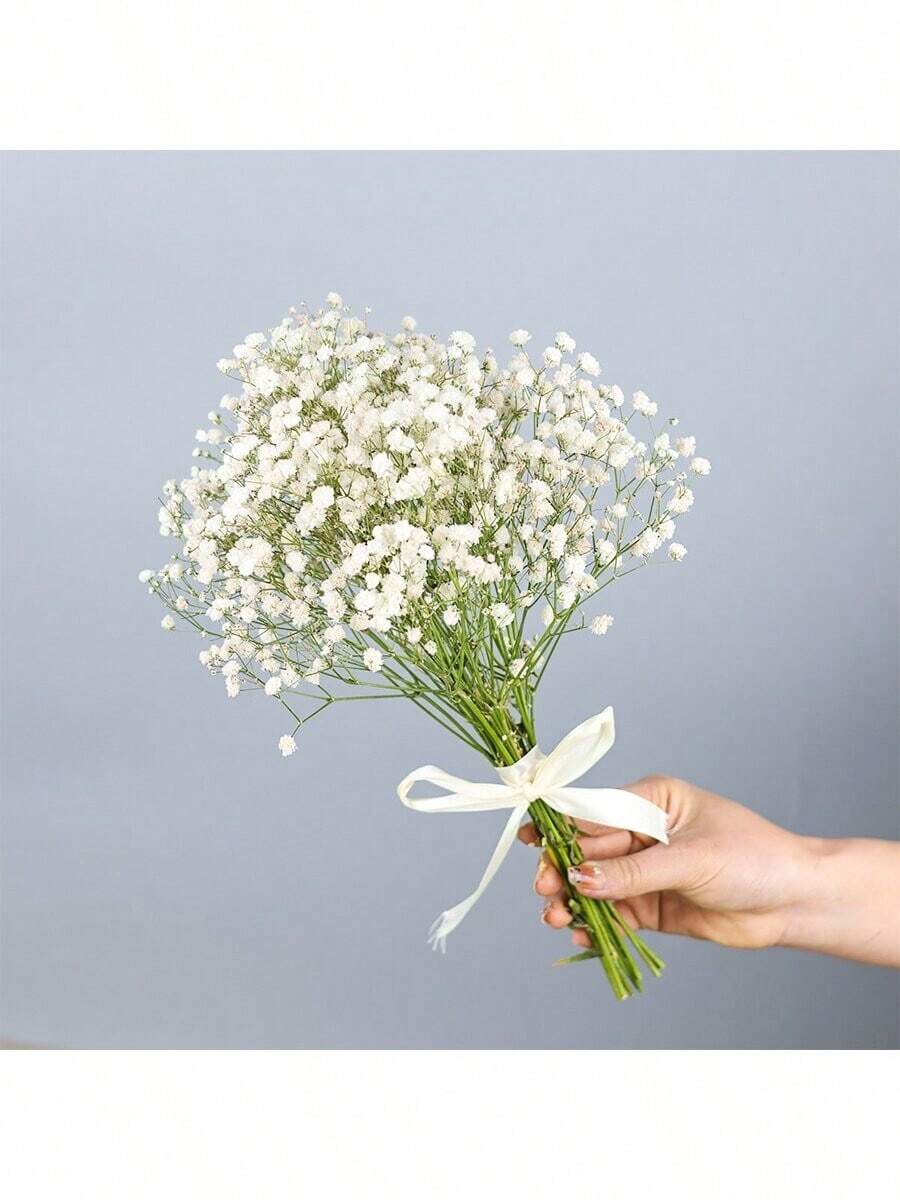 Ramo de flores de Flor de Novia preservadas naturalmente - 10/20 tallos, longitud de 45 cm, flores secas de larga duración para la decoración de bodas, arreglos para el hogar, regalos de cumpleaños, con cinta (garantía de 3 años de color)