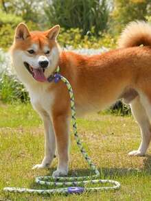 1pc Pet Leash With Reflective Stripes, Durable Dog Training Leash, Outdoor Walking Training - Multicolor - View 7