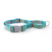 Ensemble de collier et laisse Gale pour chiens de taille moyenne et grande, fournitures pour animaux de compagnie