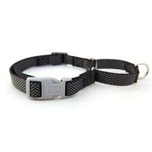 Ensemble de collier et laisse Gale pour chiens de taille moyenne et grande, fournitures pour animaux de compagnie
