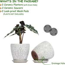 Juego de 2 maceteros cerámicos retro de 6 pulgadas con agujero de drenaje y plato para plantas, macetas de interior y exterior para suculentas, orquídeas y flores (se ajusta a macetas internas de hasta 5 pulgadas, blanco retro) - Blanco - Ver 8
