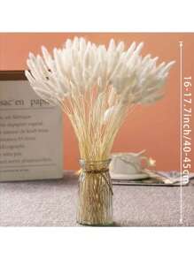 60/120 Stück natürliche getrocknete Blumen Dekoration, enthält getrocknete Hasenschwänze, Schilf, für Heim-Dekoration, Hochzeit, Party, DIY Basteleien, Fotorequisiten, Themen-Dekoration, 45 cm (Weiß)