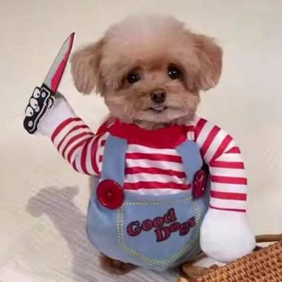 Ropa divertida para perros y gatos, incluye disfraces, ropa divertida para Halloween, accesorios y ropa para mascotas