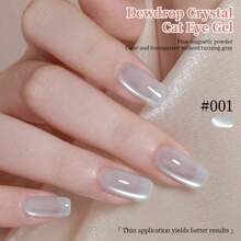 RS NAIL RSNAIL Esmalte de uñas en gel de ojos de gato con cristales efecto gota de rocío, 6 colores pastel de cristal de hielo para uñas de verano con brillo, purpurina, efecto holográfico y reflectante. Pegamento para uñas magnético que requiere curado LED/UV. Regalo para mujeres para salón de belleza y manualidades de arte de uñas en casa.