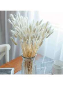 60/120 Stück natürliche getrocknete Blumen Dekoration, enthält getrocknete Hasenschwänze, Schilf, für Heim-Dekoration, Hochzeit, Party, DIY Basteleien, Fotorequisiten, Themen-Dekoration, 45 cm (Weiß)
