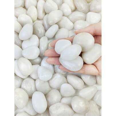 500g Guijarros blancos del río para plantas de interior, piedras decorativas pulidas naturales de 1-2 pulgadas para acuarios, relleno de jarrones, plantas en macetas, peceras, jardinería y decoración para fiestas de San Valentín (cada pieza con forma única)