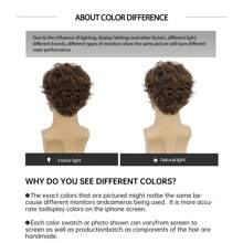 Short Brown Wigs For Men Curly Layered Natural Looking Side Part Hair Heat Resistant Synthetic Wigs With Wig Cap A Greyish-White Men's Wig