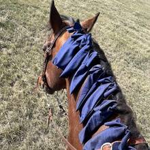 Set de 8 cobertores para la crin del caballo, funda protectora resistente al viento para proteger efectivamente la crin del caballo contra el viento, la abrasión y la suciedad - Multicolor - Ver 9