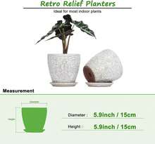 Juego de 2 maceteros cerámicos retro de 6 pulgadas con agujero de drenaje y plato para plantas, macetas de interior y exterior para suculentas, orquídeas y flores (se ajusta a macetas internas de hasta 5 pulgadas, blanco retro) - Blanco - Ver 6