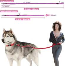 Retractable Leashes - Pink 25 - View 5