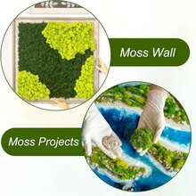 50g 100g逼真人造苔蘚，適用於DIY手工藝品和家居裝飾 - 永恆綠植裝飾，完美適用於室內景觀和婚禮裝飾 人造苔蘚，用於裝飾，DIY適用，100克，人造苔蘚裝飾，可用於DIY，耶穌降生場景牆面，水族館裝飾，綠色創意，模型製作，深綠色淺綠色創意