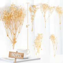 50Pcs Mini Dried Baby's Breath Flowers For Resin Art Craft DIY, 3000+ Natural Ivory White Bulk Flowers, Pressed Gypsophila Bouquet Present For Valentine's Day, Wedding Wreath, Card Making, Home Decor - Nhiều màu - Xem 2