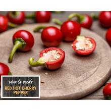 Peppers, Red Spicy Cherries 125 Easy-To-Grow Heirlooms Non-GMO Peppers