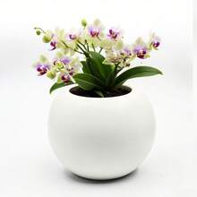 磨砂球形两用花瓶花盆，大开口，适合插花和多肉植物，防碎桌面装饰，白色黑色二合一节省空间 - 黑與白 - 查看 2