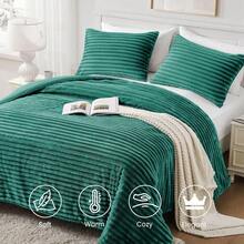 JSHGVFluffy Queen Comforter Set Super Soft Warm Fleece Comforter Queen Size For Winter Luxury Plush Fuzzy Bed Set 3 Pieces 1 Shaggy Comforter With 2 Pillowcases Sage Greenxh1fms5yjs - 01SageGreen - View 3