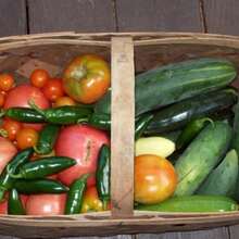 NC Heirloom Seeds Heirloom Bean Seeds 1 Sugar Bean Seeds 1 Non-GMO 1 Vegetable Gardening Organic Food 1 Open Pollinated - 變體1 - 查看 5