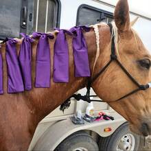 Set de 8 cobertores para la crin del caballo, funda protectora resistente al viento para proteger efectivamente la crin del caballo contra el viento, la abrasión y la suciedad - Multicolor - Ver 6