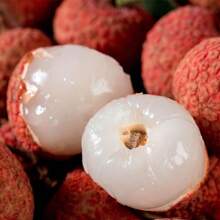173pcs Harvested Rare Fruit Tree Seeds Such As Lychee Seeds.Potted Fruit And Vegetable Seeds And Evergreen Tree Seeds Can Be Sown Year-Round.