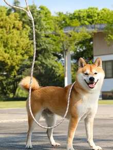 1pc Pet Leash With Reflective Stripes, Durable Dog Training Leash, Outdoor Walking Training - Multicolor - View 6