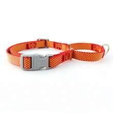 Ensemble de collier et laisse Gale pour chiens de taille moyenne et grande, fournitures pour animaux de compagnie
