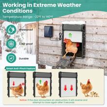 Automatic Chicken Door, Auto Chicken Door Opener With Timer & Light Sensor Aluminum Chicken Coops Door With Remote Control